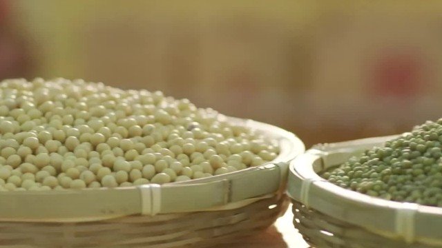 企業(yè)宣傳片制作-魯花